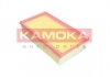 Воздушный фильтр KAMOKA F239801 (фото 1)