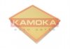 Повітряний фільтр KAMOKA F243201 (фото 1)