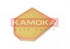 Повітряний фільтр KAMOKA F243401 (фото 1)