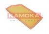 Повітряний фільтр KAMOKA F243801 (фото 1)