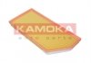 Повітряний фільтр KAMOKA F243801 (фото 3)