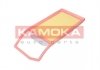 Повітряний фільтр KAMOKA F244301 (фото 1)