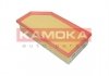 Повітряний фільтр KAMOKA F244501 (фото 1)