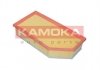 Повітряний фільтр KAMOKA F244501 (фото 3)