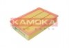 Повітряний фільтр KAMOKA F247801 (фото 1)