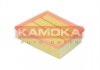 Повітряний фільтр KAMOKA F248201 (фото 1)