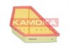 Повітряний фільтр KAMOKA F249501 (фото 1)