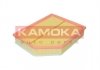 Воздушный фильтр KAMOKA F250501 (фото 3)