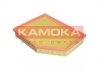 Повітряний фільтр KAMOKA F250601 (фото 1)