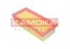 Повітряний фільтр KAMOKA F251601 (фото 3)