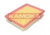 Повітряний фільтр KAMOKA F251801 (фото 1)