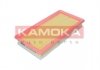 Воздушный фильтр KAMOKA F255101 (фото 1)