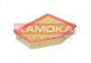 Воздушный фильтр KAMOKA F255601 (фото 1)