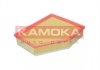 Повітряний фільтр KAMOKA F255701 (фото 1)