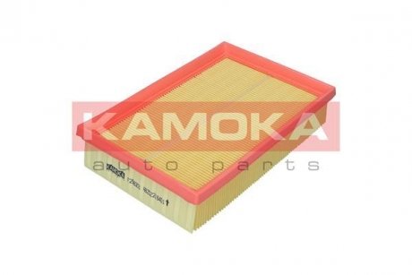Воздушный фильтр KAMOKA F256301 (фото 1)
