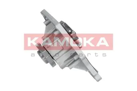 Насос воды KAMOKA T0035