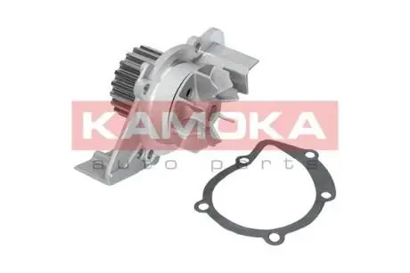 Насос воды KAMOKA T0085