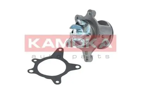 Водяной насос KAMOKA T0163