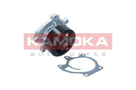 Насос воды KAMOKA T0303 (фото 1)