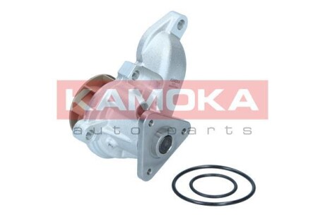 Насос воды KAMOKA T0315