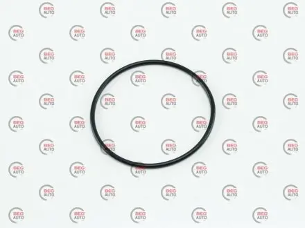 Прокладка модуля запалювання ланос 1,5/авео (кільце) (кратно 5) -ru KAP 25190809