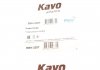 Шланг гальмівний (задній) hyundai та20 08-15 (l) (l=232mm) KAVO PARTS BBH-3207 (фото 2)