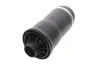 Подушка пневмоподвески (сзади) mb r-class (w251/v251) 06-14 KAVO PARTS SAS-10018 (фото 2)