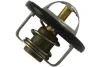 Термостат системы охлаждения KAVO PARTS TH1001 (фото 1)