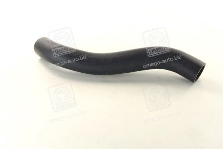 Патрубок радиатора Kia/Hyundai/MOBIS 25411-1R150 (фото 1)