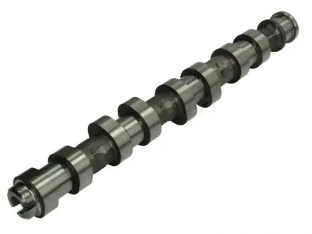 Розподільний вал Kolbenschmidt 50006151