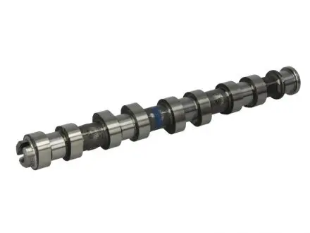 Розподільний вал Kolbenschmidt 50006152