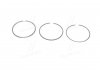 Комплект поршневых колец Kolbenschmidt 800017712000 (фото 1)