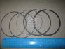 Комплект поршневых колец Kolbenschmidt 800052110000 (фото 2)