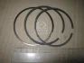 Комплект поршневих кілець Kolbenschmidt 800056210040 (фото 2)