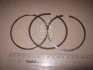 Комплект поршневых колец Kolbenschmidt 800073010000 (фото 2)