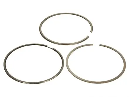 Комплект поршневых колец Kolbenschmidt 800073810000