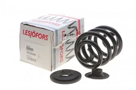 Пружина задняя VW TRANSPORTER IV (70XD) 90-03, TRANSPORTER IV (70XB, 70XC, 7DB, 7DW) 90-03 LESJOFORS 4295020