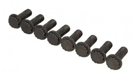 Пророческие элементы слияния LUK 411017310