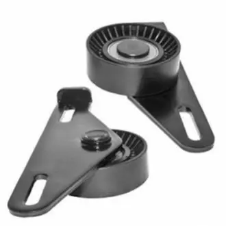 Renault ролик натягувача ремінь kangoo 01- MAGNETI MARELLI 331316170540