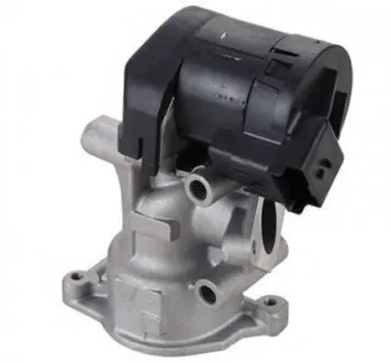 Клапан EGR MAGNETI MARELLI EV098