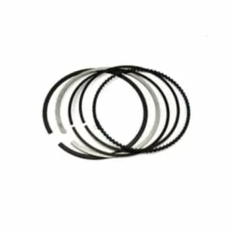 Комплект поршневых колец MAHLE 030 20 N1