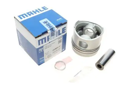 Поршень MAHLE 029 55 01