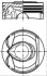 ситроен поршень 039PI00123000