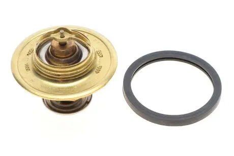 Термостат, охлаждающая жидкость MAHLE TX 93 79D