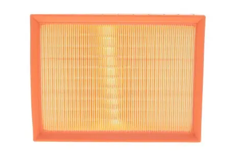 Фильтр воздушный двигателя MANN-FILTER C 25 118/1