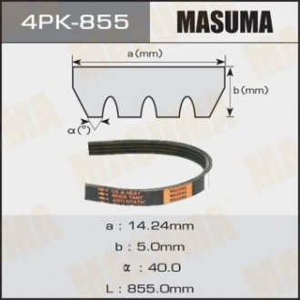 Ремінь полікліновий 4PK-855 (4PK-855) MASUMA 4PK855 (фото 1)