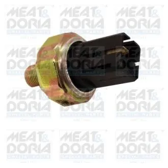 Датчик тиску оливи Renault Espase IV 3.5 V6 02- MEAT & DORIA 72058