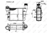 Интеркулер audi a4 00- NRF 30251 (фото 5)