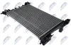 РАДІАТОР ОХОЛОДЖЕННЯ ПОВІТРЯ | NTY CCHPL000 (фото 2)