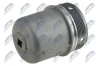 КРИШКА КОРПУСУ МАСЛЯНОГО ФІЛЬТРУ | ENG 3.0D RENAULT MASTER II 2003-, OPEL MOVANO 2003-, NISSAN CABSTAR 06-13, INTERSTAR 2003-, PATROL GR V 2000-, TERRANO 1997-, NTY CCL-NS-009 (фото 1)